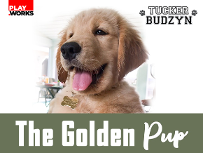 Tucker Budzyn