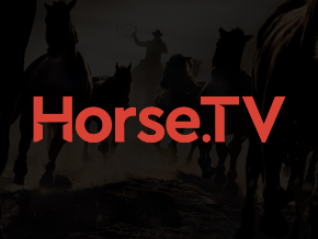 Horse.TV